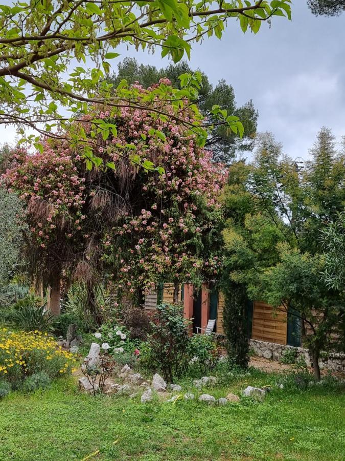 Mas D'Azur Bed and Breakfast Roquefort-les-Pins Exteriör bild
