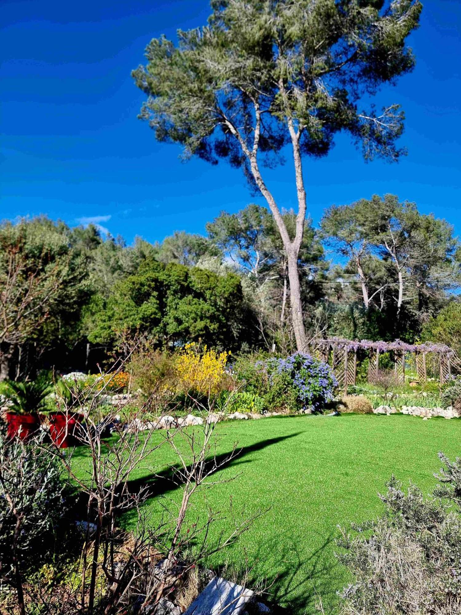 Mas D'Azur Bed and Breakfast Roquefort-les-Pins Exteriör bild