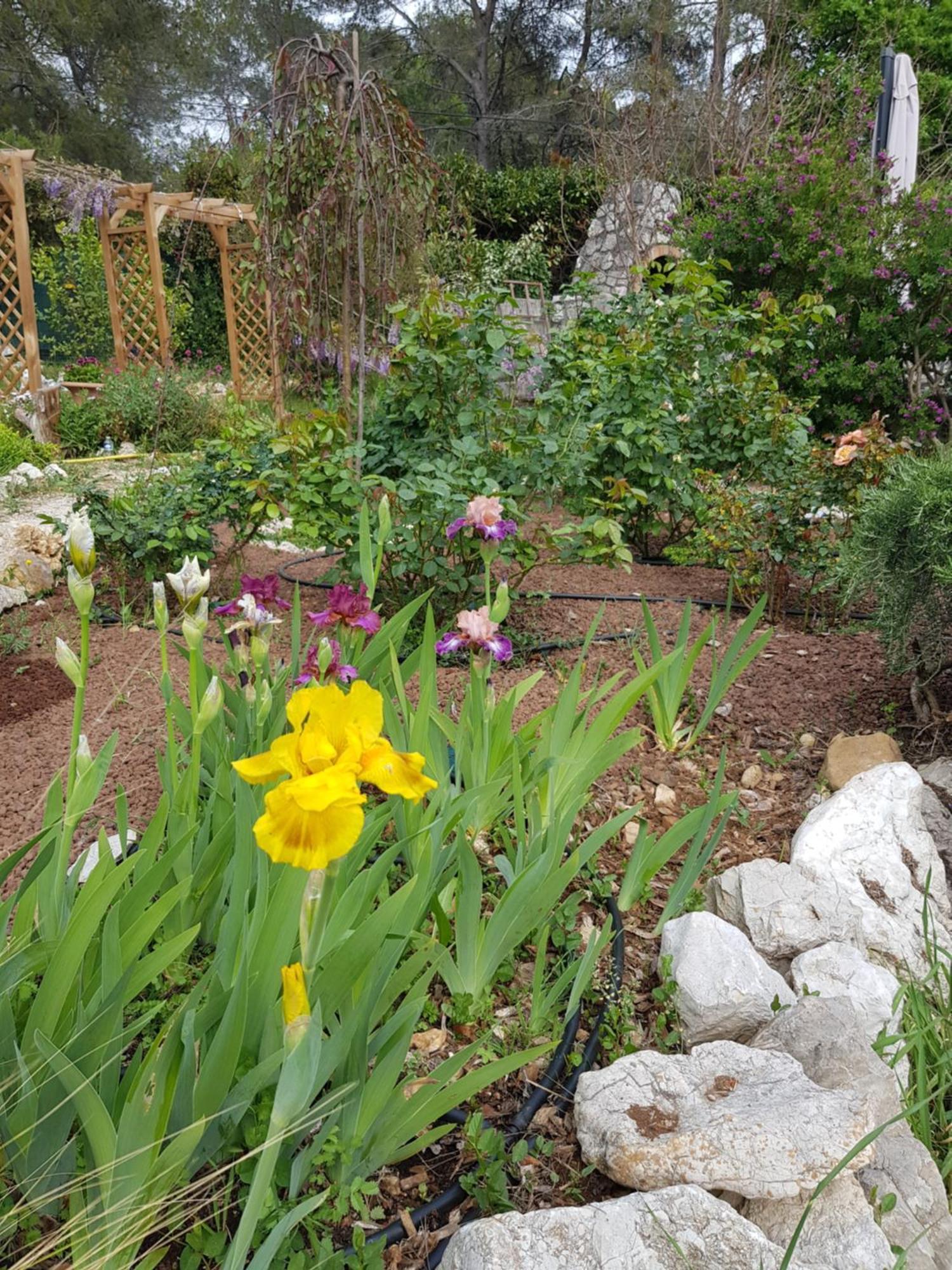 Mas D'Azur Bed and Breakfast Roquefort-les-Pins Exteriör bild