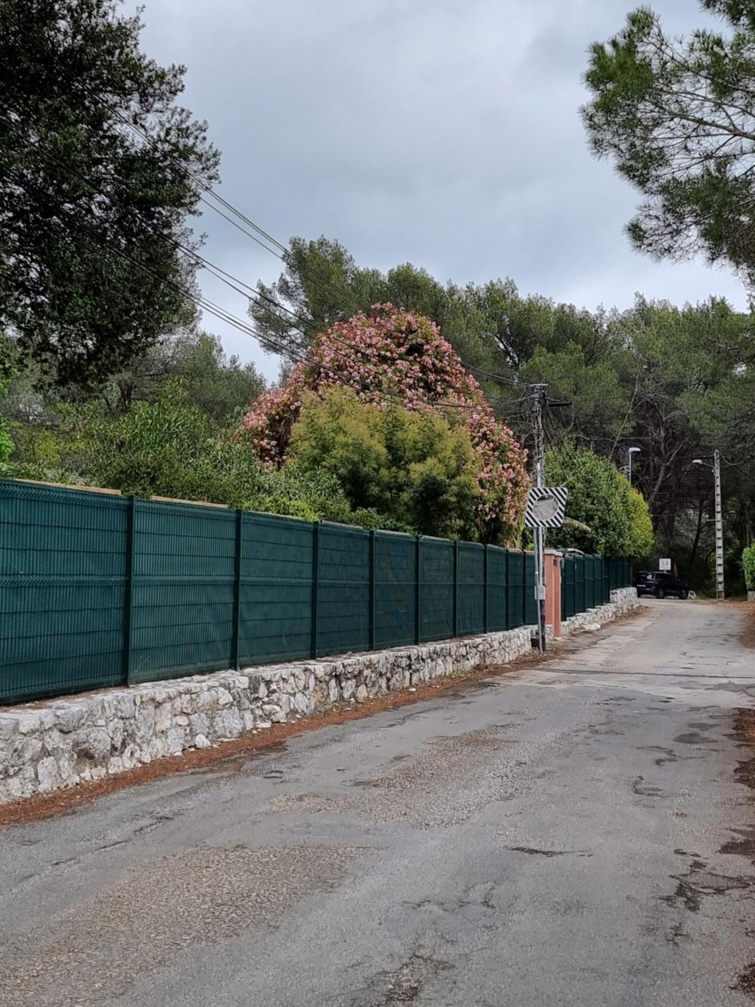 Mas D'Azur Bed and Breakfast Roquefort-les-Pins Rum bild
